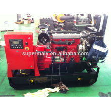 Small diesel generator with CE